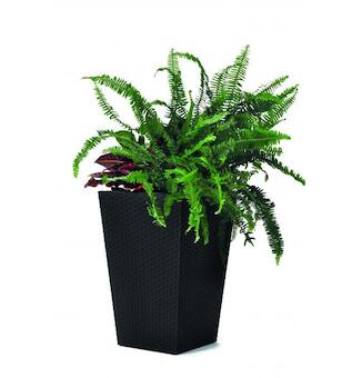 Keter Rattan planter S - grafit 228978